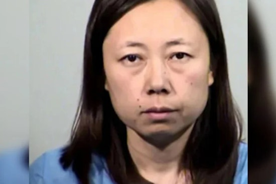 Mother Yui Inoue Sentenced to Life for Murdering Her Own Children with Meat Cleaver