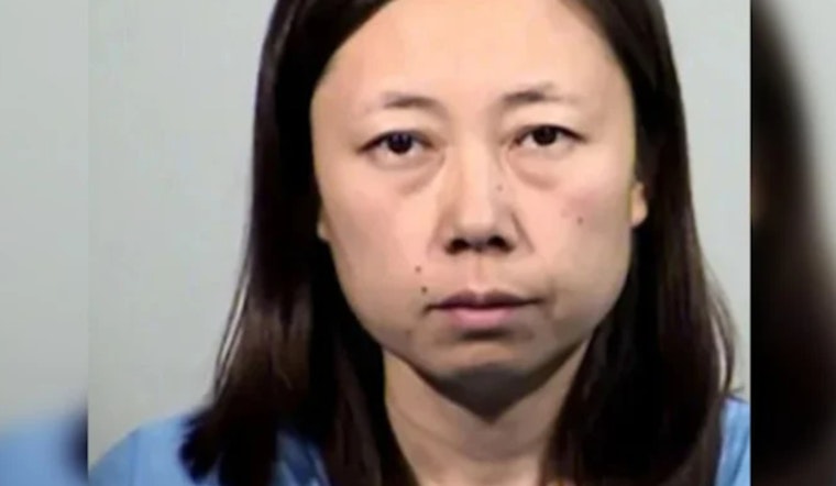 Mother Yui Inoue Sentenced to Life for Murdering Her Own Children with Meat Cleaver