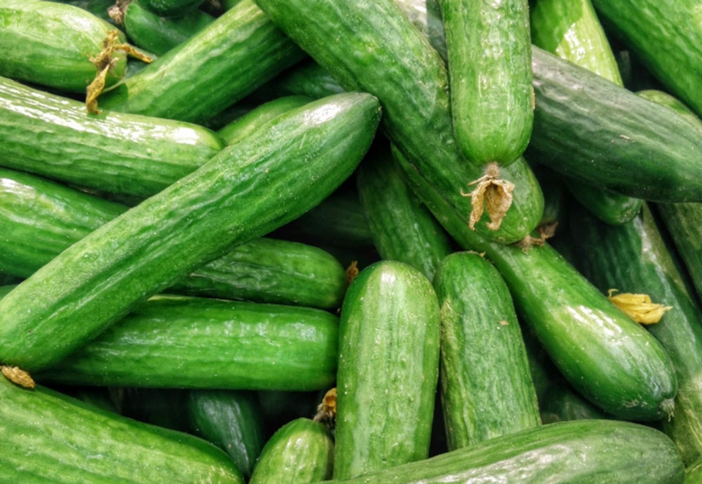 Multi-State Salmonella Outbreak Spurs Major Cucumber Recall from Florida-Based Grower, Affecting Walmart, Kroger, Others