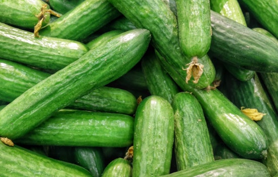 Multi-State Salmonella Outbreak Spurs Major Cucumber Recall from Florida-Based Grower, Affecting Walmart, Kroger, Others