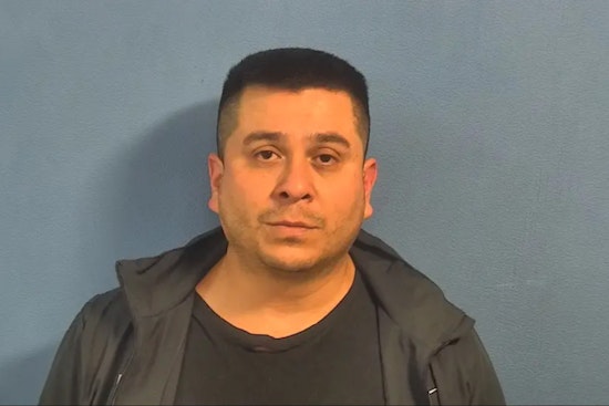Naperville Man Sentenced to Five Years for Aggravated DUI and Animal Cruelty Leading to Pet's Death