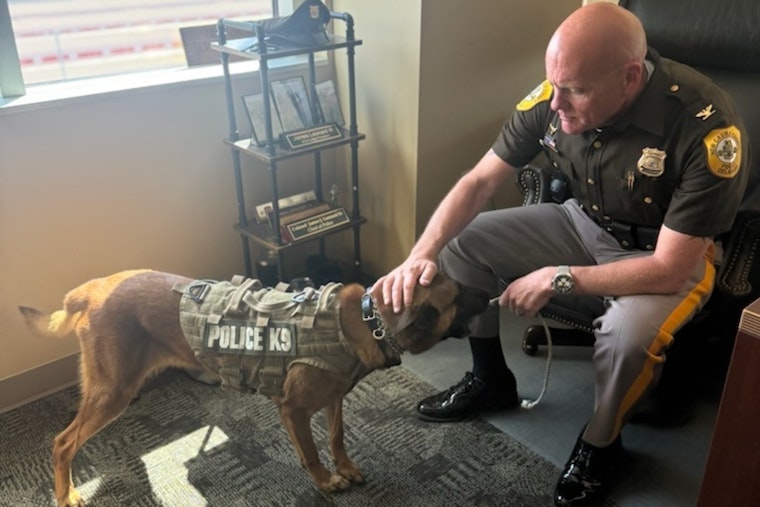 New Castle County Police Share Delightful Tale of K9 Vudu's New Toy as Department Seeks New Recruits