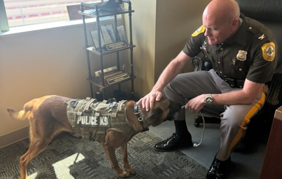 New Castle County Police Share Delightful Tale of K9 Vudu's New Toy as Department Seeks New Recruits