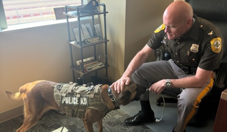 New Castle County Police Share Delightful Tale of K9 Vudu's New Toy as Department Seeks New Recruits