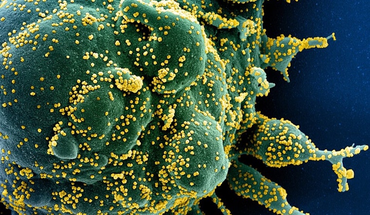New COVID-19 Variant NB.1.8.1 Raises Alarm in California as FDA Adjusts Vaccine Policy Amidst Concerns