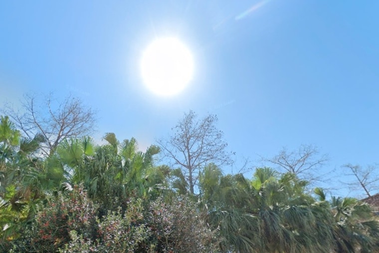 New Orleans Braces for Sunny Skies and Rising Temperatures, With Potential Midweek Showers