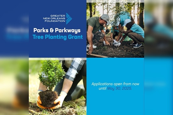 New Orleans Launches $225K Tree Planting Grant for Nonprofits to Boost Urban Forest by 2030