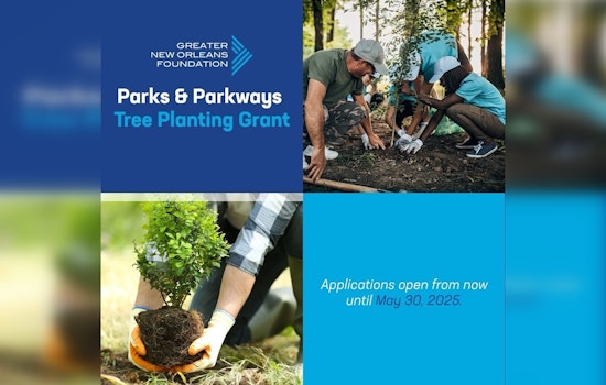 New Orleans Launches $225K Tree Planting Grant for Nonprofits to Boost Urban Forest by 2030