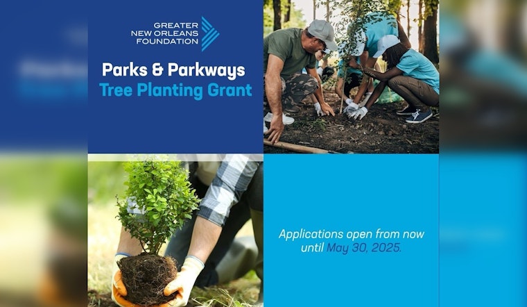 New Orleans Launches $225K Tree Planting Grant for Nonprofits to Boost Urban Forest by 2030