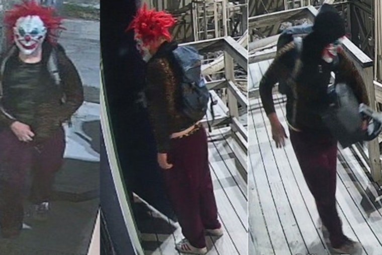 New Orleans Police Seek Assistance to Identify Suspect in Frenchmen Street Burglary
