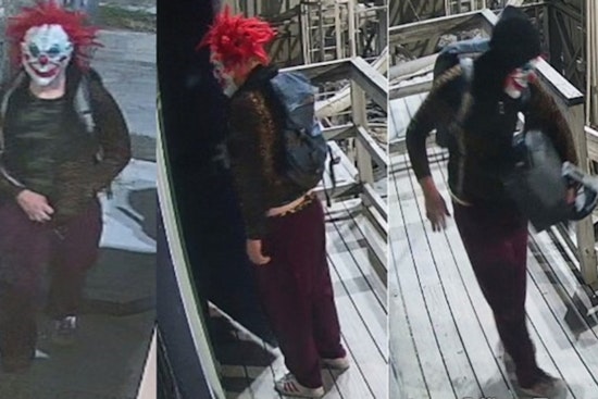 New Orleans Police Seek Assistance to Identify Suspect in Frenchmen Street Burglary