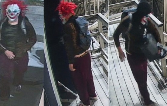 New Orleans Police Seek Assistance to Identify Suspect in Frenchmen Street Burglary