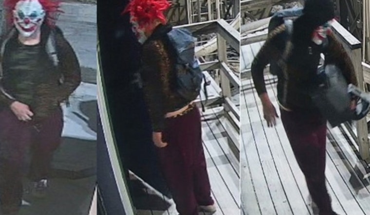 New Orleans Police Seek Assistance to Identify Suspect in Frenchmen Street Burglary