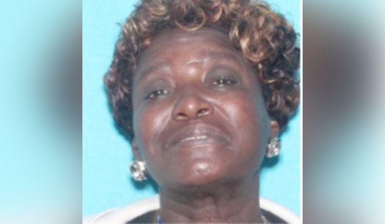 New Orleans Police Seek Public Assistance in Locating Suspect Shawanda Haynes for Auto Burglary