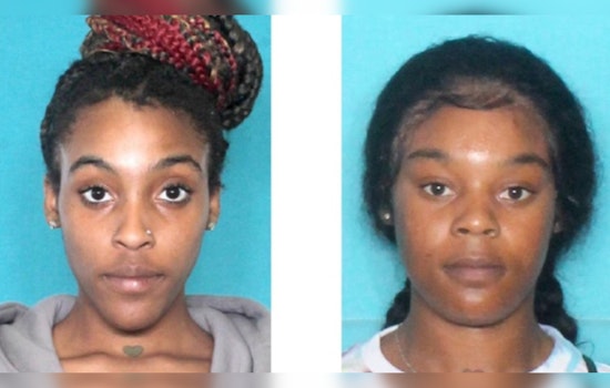 New Orleans Police Seek Public Help in Identifying Suspects in Vehicle Burglary and Hit-and-Run Case