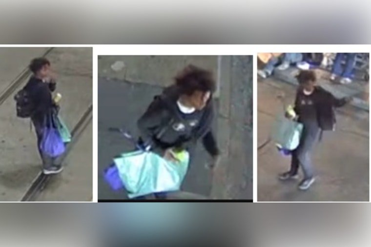 New Orleans Police Seek Public's Assistance to Identify Suspect in Canal Street Auto Burglary