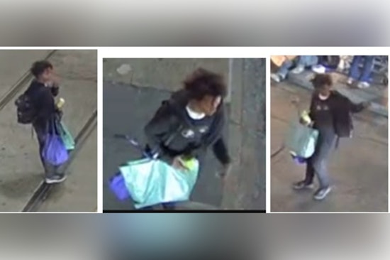 New Orleans Police Seek Public's Assistance to Identify Suspect in Canal Street Auto Burglary