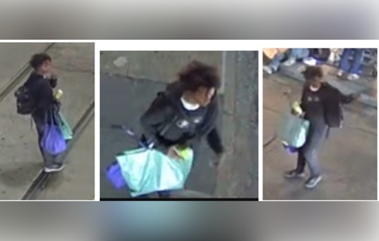 New Orleans Police Seek Public's Assistance to Identify Suspect in Canal Street Auto Burglary