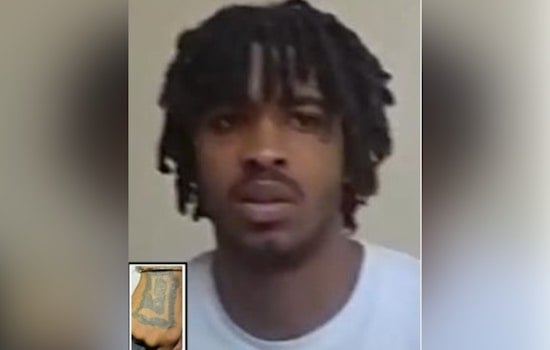 New Orleans Police Seek Public's Help to Locate Suspect in "Werewolf" Mask Business Burglary on Chef Menteur Highway