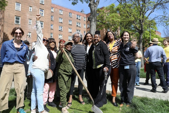 New York Rolls Out $750,000 Tree-Planting Initiative to Green NYCHA Housing
