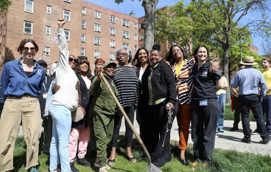 New York Rolls Out $750,000 Tree-Planting Initiative to Green NYCHA Housing