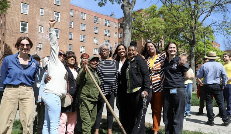 New York Rolls Out $750,000 Tree-Planting Initiative to Green NYCHA Housing