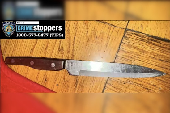 NYPD Officer Shoots Man Suspected of Threatening Mother with Knife in Bronx Apartment