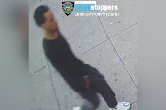NYPD Rallies Community Help in Brooklyn Manhunt for Suspect in Brutal Assault on Senior Woman
