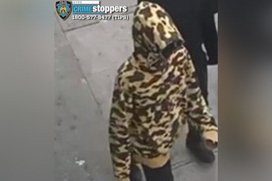 NYPD Seeks Public Help in Hunt for Suspect After Fatal Bronx Shooting