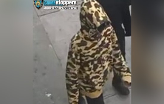 NYPD Seeks Public Help in Hunt for Suspect After Fatal Bronx Shooting