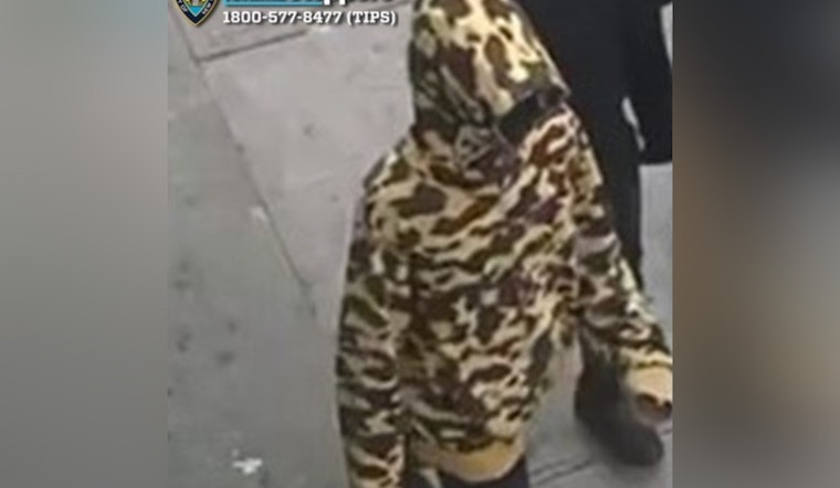 NYPD Seeks Public Help in Hunt for Suspect After Fatal Bronx Shooting