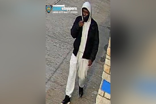 NYPD Seeks Public's Help in Brooklyn Robbery Case, Offers $3,500 Reward for Information Leading to Arrest