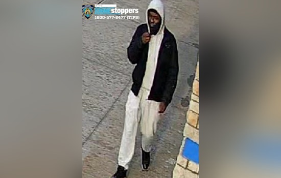 NYPD Seeks Public's Help in Brooklyn Robbery Case, Offers $3,500 Reward for Information Leading to Arrest