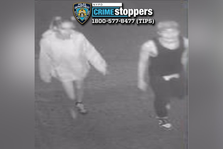 NYPD Seeks Public's Help to Apprehend Suspects in Violent Bronx Robbery and Stabbing