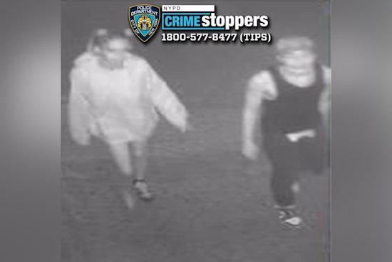 NYPD Seeks Public's Help to Apprehend Suspects in Violent Bronx Robbery and Stabbing
