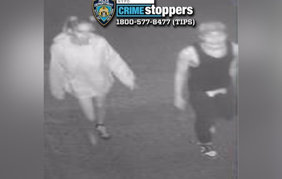 NYPD Seeks Public's Help to Apprehend Suspects in Violent Bronx Robbery and Stabbing