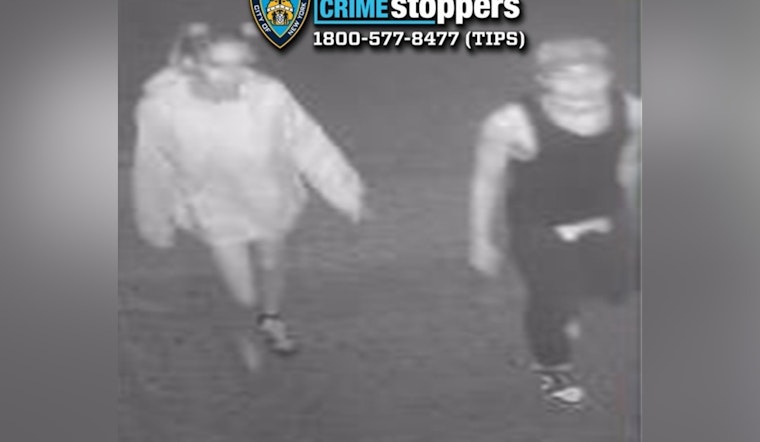 NYPD Seeks Public's Help to Apprehend Suspects in Violent Bronx Robbery and Stabbing