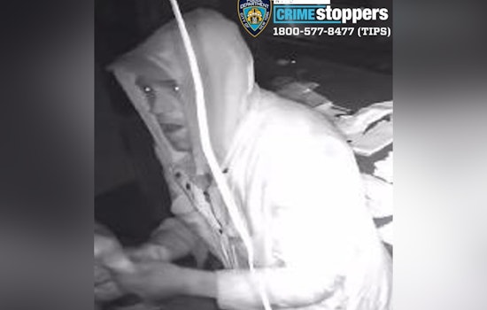 NYPD Seeks Public's Help to Find Suspect in Brooklyn Commercial Burglary