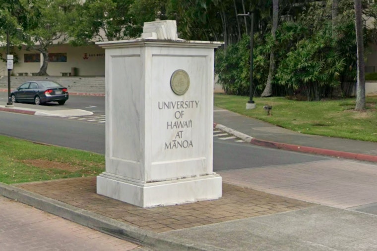 Oahu Intrigue, Mysterious Creature Spotted in Manoa Mountains Sets Off Search and Speculation