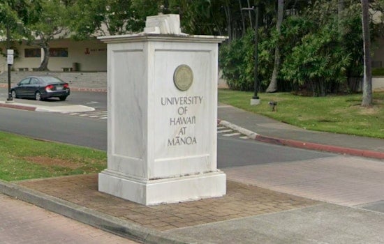 Oahu Intrigue, Mysterious Creature Spotted in Manoa Mountains Sets Off Search and Speculation