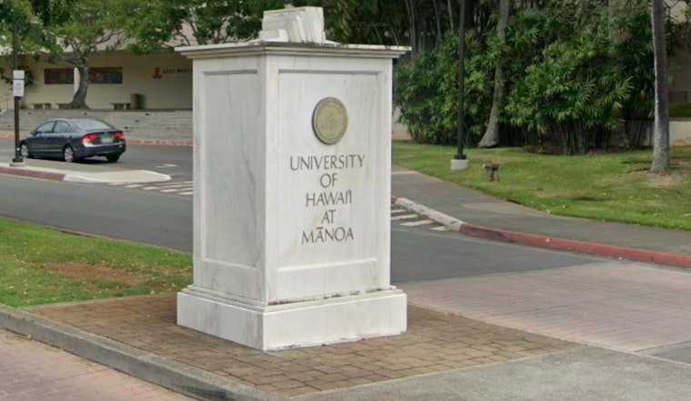 Oahu Intrigue, Mysterious Creature Spotted in Manoa Mountains Sets Off Search and Speculation