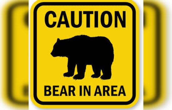O'Fallon, Missouri Police Alert Residents to Bear Sighting and Urge Caution on Haycastle Drive