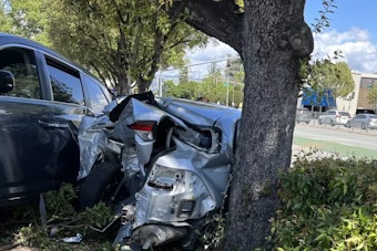 Off-Duty Santa Clara Deputy and Security Director Heroically Aid Woman After Seizure-Induced Crash in San Jose