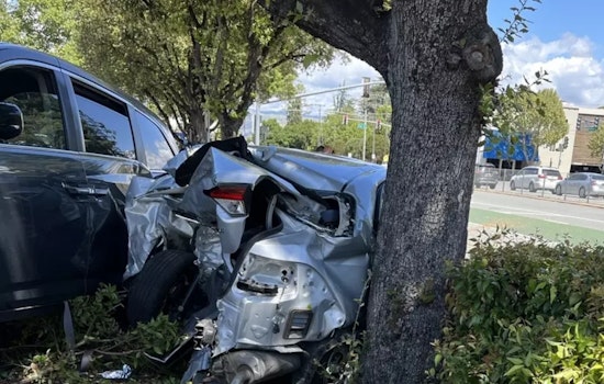 Off-Duty Santa Clara Deputy and Security Director Heroically Aid Woman After Seizure-Induced Crash in San Jose