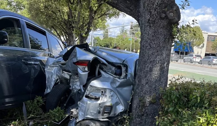 Off-Duty Santa Clara Deputy and Security Director Heroically Aid Woman After Seizure-Induced Crash in San Jose