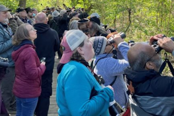 Ohio Celebrates Governor's Bird Ohio Day at Magee Marsh with Educational Events and Conservation Efforts