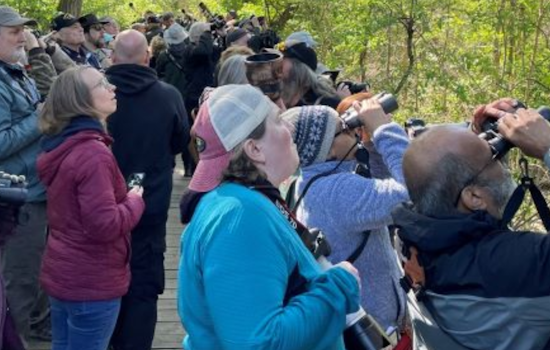 Ohio Celebrates Governor's Bird Ohio Day at Magee Marsh with Educational Events and Conservation Efforts