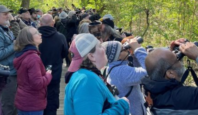 Ohio Celebrates Governor's Bird Ohio Day at Magee Marsh with Educational Events and Conservation Efforts