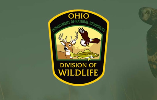 Ohio Department of Natural Resources Touts Northeast Ohio as Prime Fishing Destination