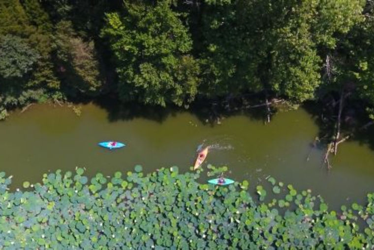 Ohio State Parks Shine as Finalist for National Gold Medal Award in Park and Recreation Management